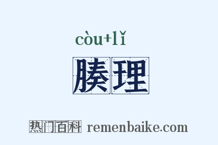腠理是什么意思的图片